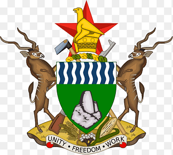 Government